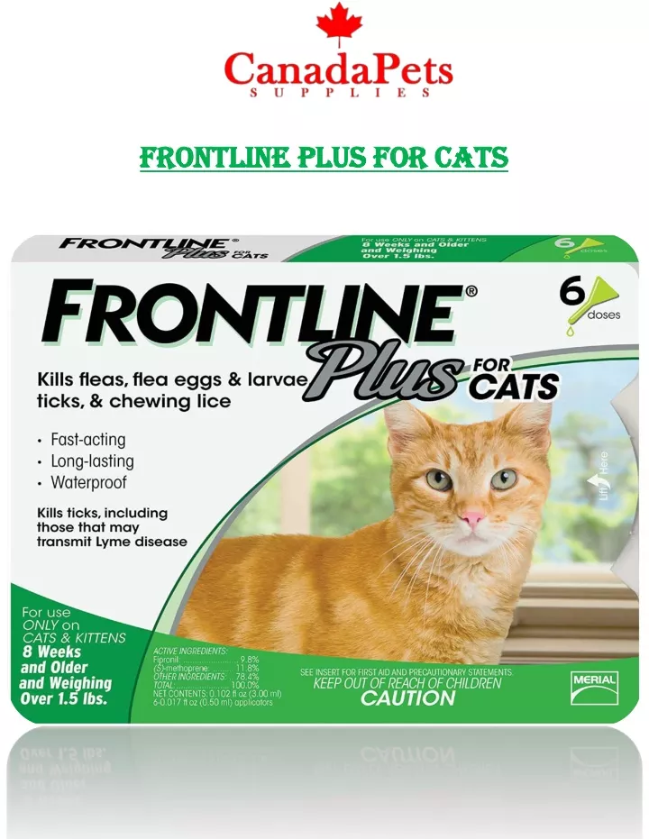 frontline plus for cats frontline plus for cats