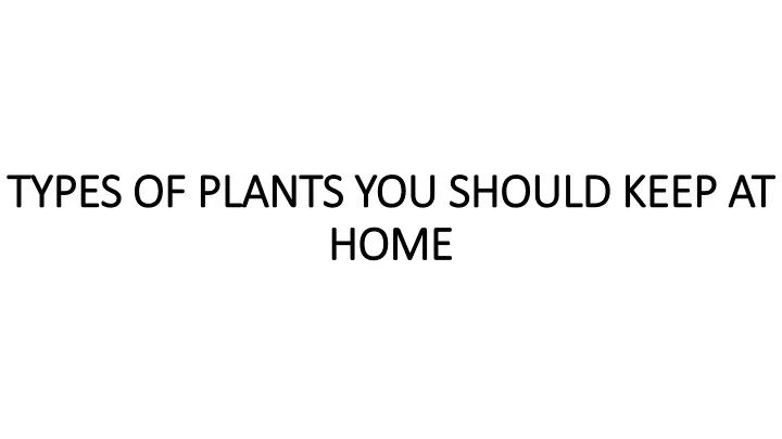 types of plants you should keep at home