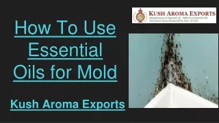 Best Essential Oils for Mold