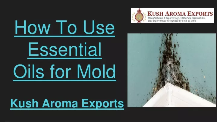 how to use essential oils for mold