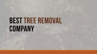 Why Choose Professional Tree Removal Company To Avail Stump Removal Services