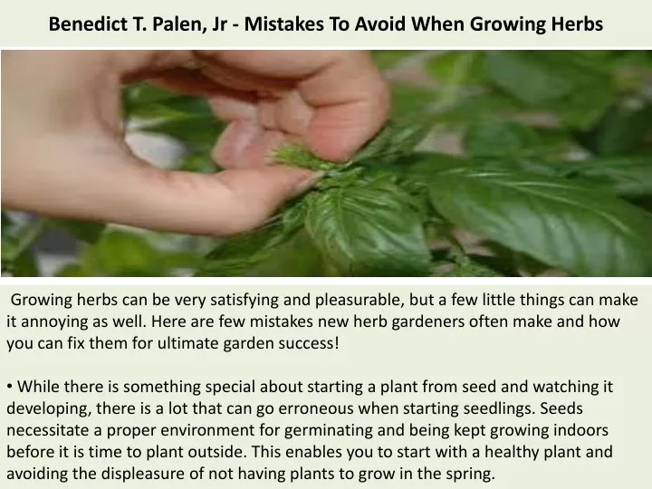benedict t palen jr mistakes to avoid when growing herbs