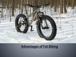 Advantages of Fat Biking