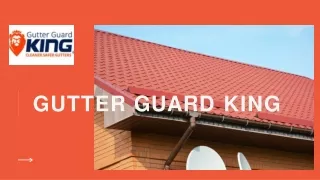 Gutter Guard King SA