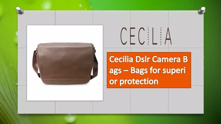 cecilia dslr camera bags bags for superior