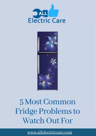 5 Most Common Fridge Problems to Watch Out For