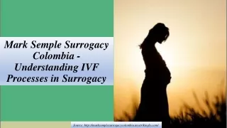Mark Semple Surrogacy Colombia - Understanding IVF Processes in Surrogacy