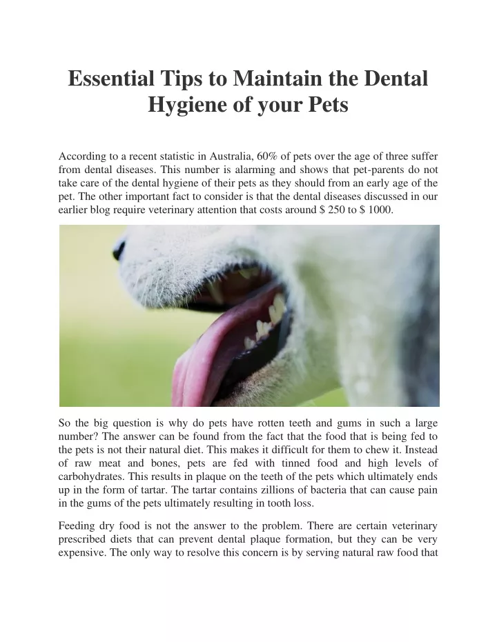 essential tips to maintain the dental hygiene