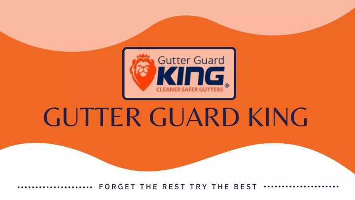 gutter guard king