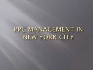 PPC Management in New York City