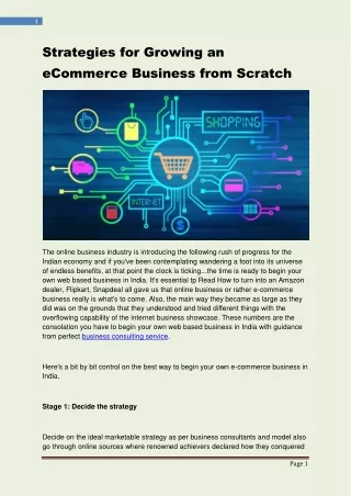 Strategies for Growing an ECommerce Business From Scratch