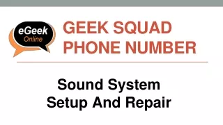 geek squad phone number