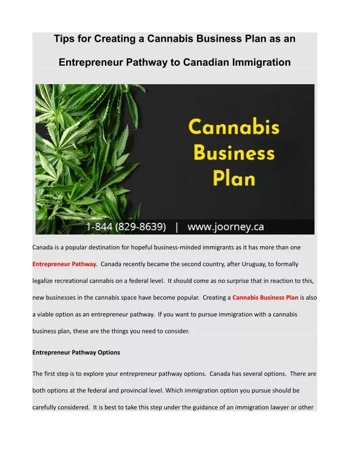 tips for creating a cannabis business plan as an