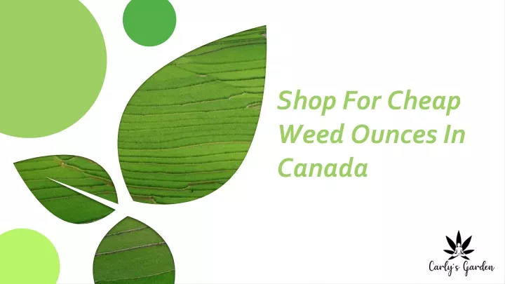 shop for cheap weed ounces in canada