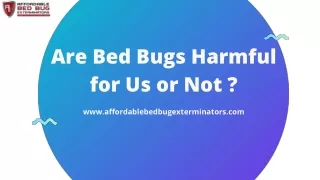 Are Bed Bugs Harmful for Us or Not ?