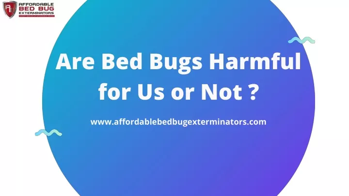 are bed bugs harmful for us or not