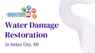 Institute of Water Damage Restoration Imlay City | Disaster MD