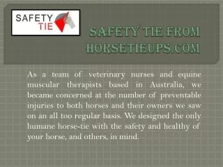 Horse Safety Clip  