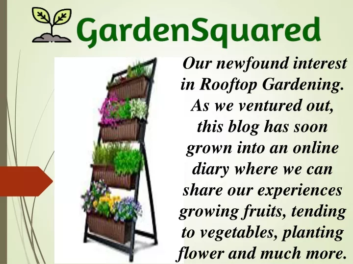 o ur newfound interest in rooftop gardening