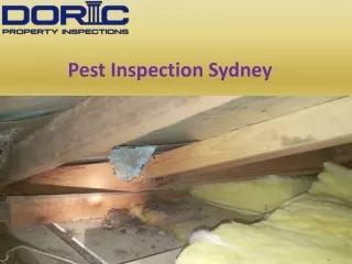 pest inspection sydney