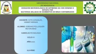 OXIDACIÓN MICROBIOLÓGICA DE ANTIMONIO (III) CON OXÍGENO O NITRATO POR BACTERIAS AISLADAS DE SEDIMENTOS DE MINAS CONTAMIN