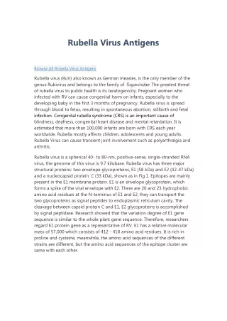 rubella virus antigens