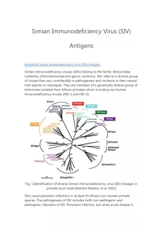 simian immunodeficiency virus siv