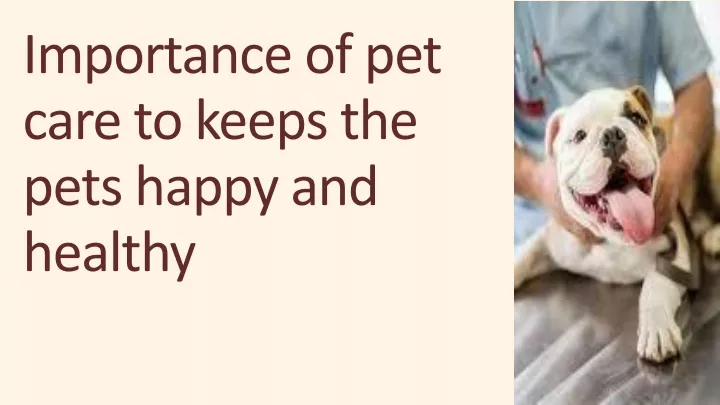 importance of pet care to keeps the pets happy