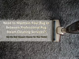 Need to Maintain Your Rug in Between Professional Rug Steam Cleaning Services?