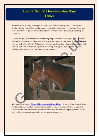 Uses of Natural Horsemanship Rope  Halter