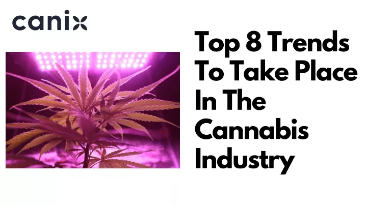 top 8 trends to take place in the cannabis
