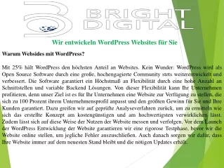 wir entwickeln wordpress websites f r sie
