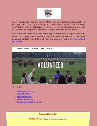 Save the elephants organization slwcs.org