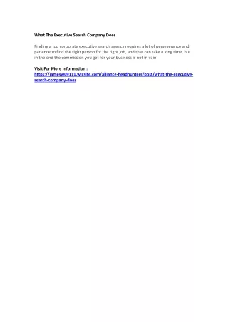 what the executive search company does