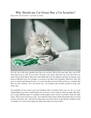 why should any cat owner buy a cat scratcher