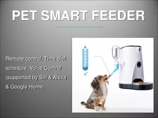 Pet Smart Feeder