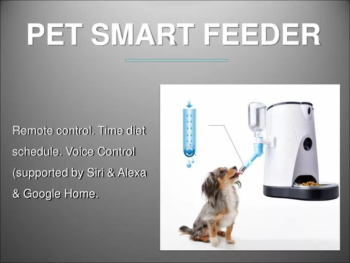 pet smart feeder