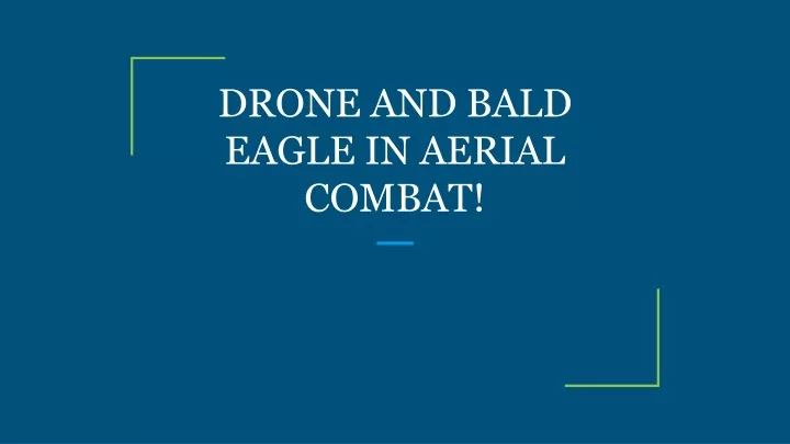 drone and bald eagle in aerial combat
