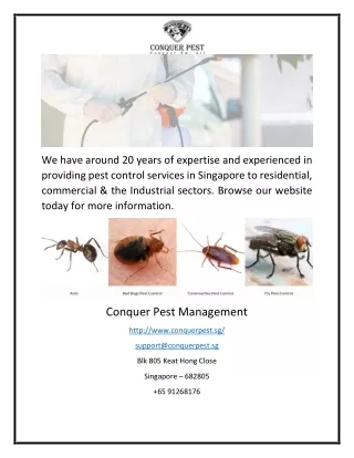 Hire Pest Control Services in Singapore