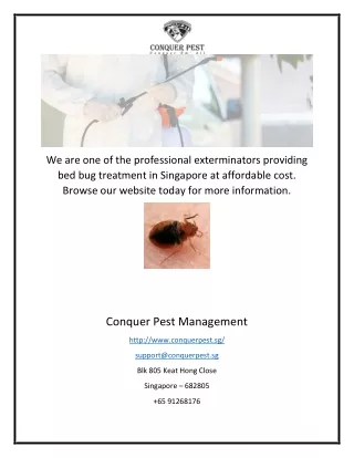 Singapore Bed Bug Exterminator Services