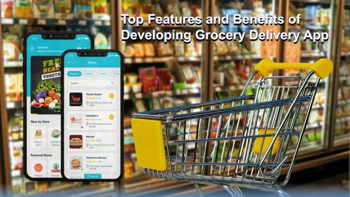 top features and benefits of developing grocery delivery app