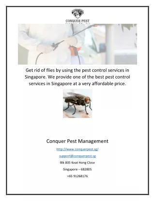 Fly Pest Control Services in Singapore
