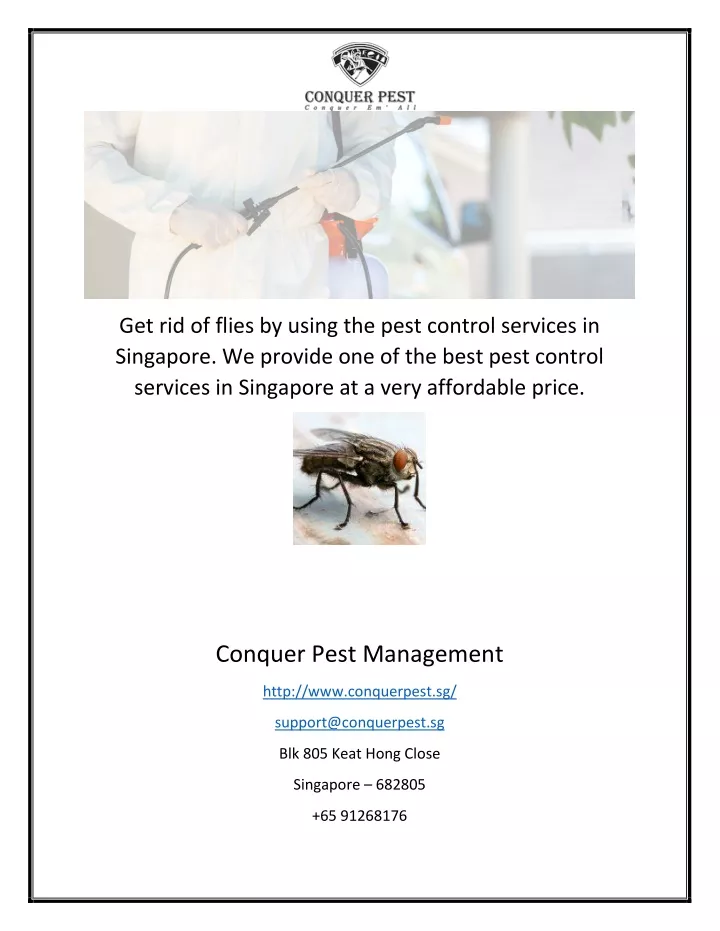 get rid of flies by using the pest control
