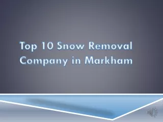 Top 10 Snow Removal Company in Markham