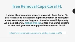 Tree Removal Cape Coral FL