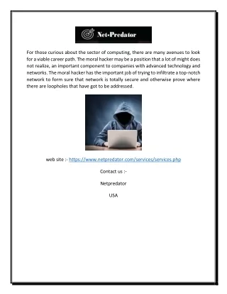 Hacker Service Online In Usa | Netpredator.com