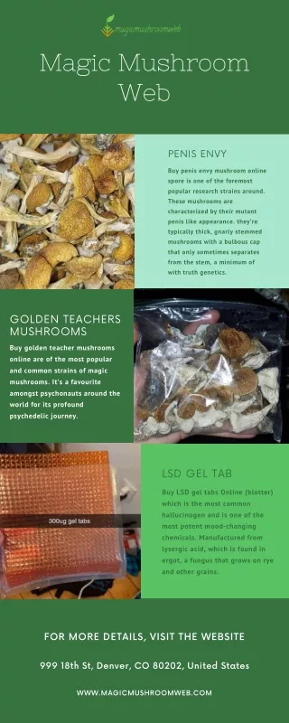 Buy Golden Teacher Mushrooms Online in California