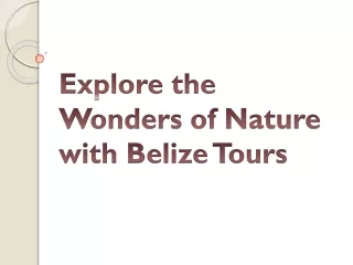 Explore the Wonders of Nature with Belize Tours