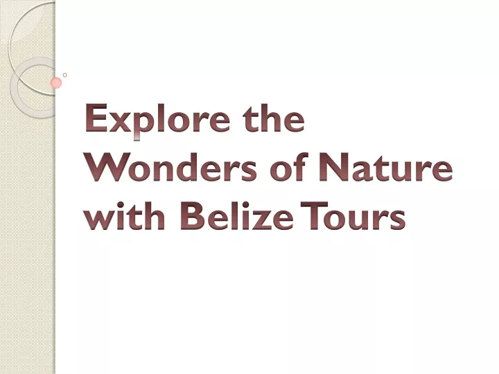 explore the wonders of nature with belize tours