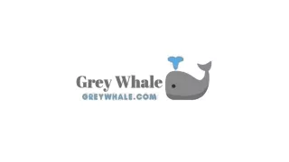 Gray Whale Watching Tours in Baja California